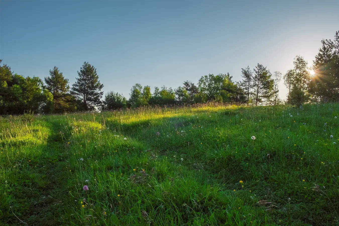 Lots for Sale in Indiana Michigan