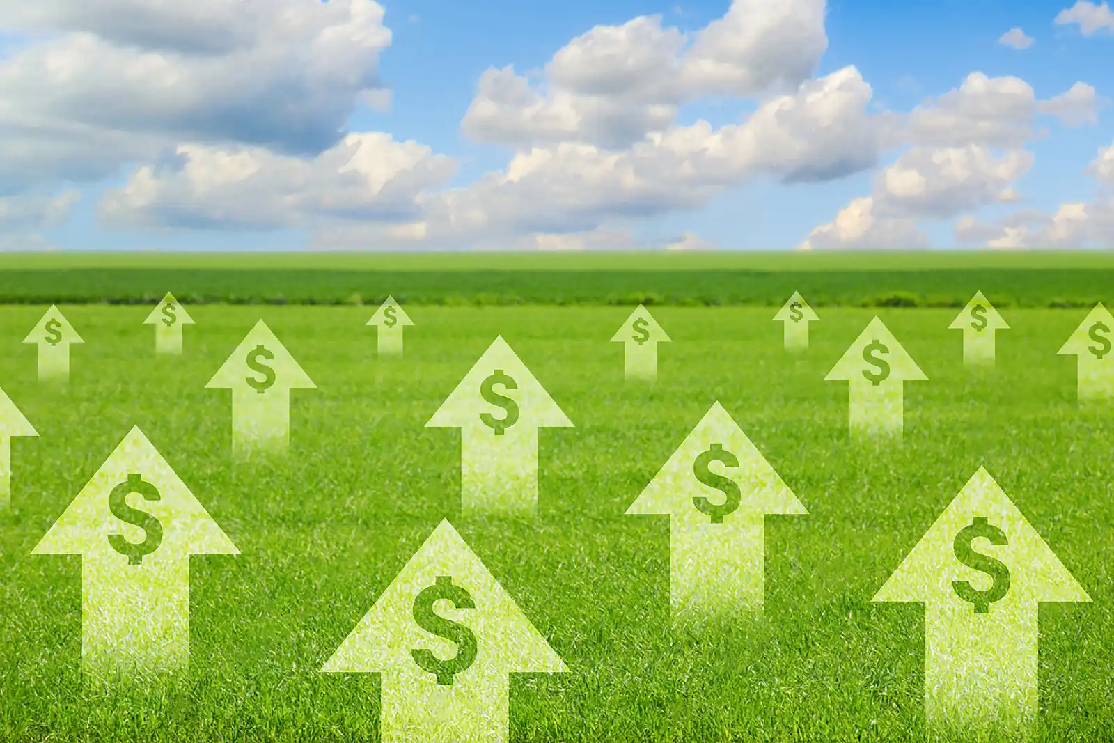 Buy and Sell Acreage in Michigan and Indiana